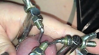 Watch How My Little Piggy Is Allowed to Watch