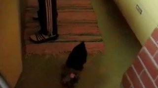 My girlfriend amateur opens mouth for lavish cumshot