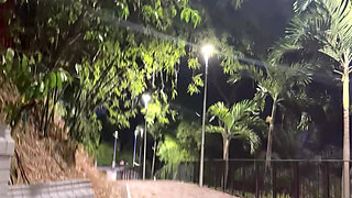 Hot Colombian College Girl Fucks in a Park with Her Friend's Boyfriend After Classes