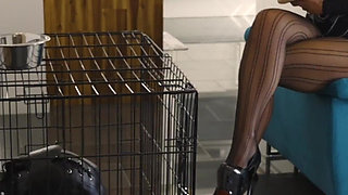 Part 1 My Useless Slave: Humiliation, Cage Confinement, Ass Worship & Ruined - Mistress Julia