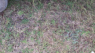 RANDOM CAR FUN ENJOYED A LOT SUBSCRIBE TO FAPHOUSE FOR MORE