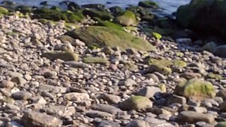 Amateur real small titted party teen slammed in gym class