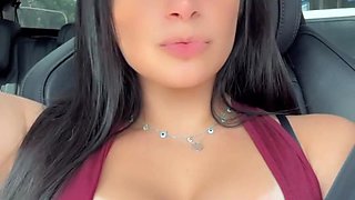 Flashing Tits in the Car / Pagando Peitinhos No Carro