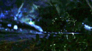 babe hardcore glamour hd porn pornstars