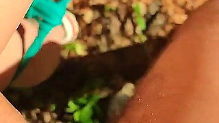 Outdoor Oral and Pussy Fucking