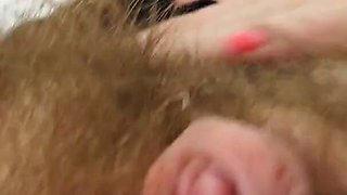 Huge Bush Licking and Fucking