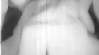 Kutie Kut Ups Site Seer