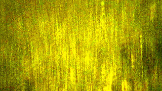 Slut Public Blowjob in Park