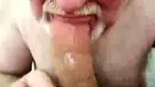 Amateur Daddy Bear Sucks Cock