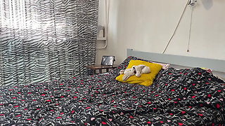 Schoolgirl Stepsis Lap Grind Practice: Moans & Giggles