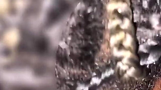 Slim Brownskin Big Lips Chick Sloppy Front Seat Car Head