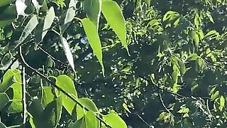 Hot Brunette New Petite Wife Flashes Her No Panties Shaved Pussy Outdoors on the Balcony to the Neighbors