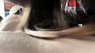 Cute College Girl Gives a Blowjob and Swallows