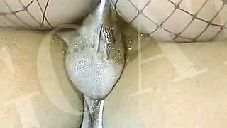 Fucking in a Good View