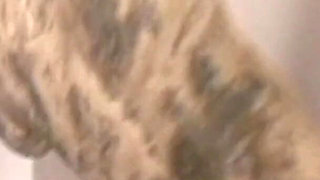 Bathroom Quick Fuck on the Stairs