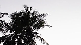 Beachside Tease with Candice Demellza