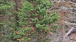 Slutty Hotwife Polyjswitch Finds Some Big Wood in the Forest