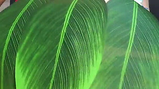 My Stepsister Performs Hawaiian Dance in a Green Hawaiian Cosplay Costume Then Masturbates and Shows What's Under