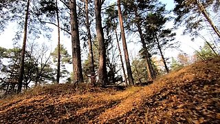 Naked Blonde with a Big Ass Strolls Through the Forest