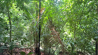 Sara's Slut Likes Her Cuckolded Boyfriend of Her Friend to Fuck Her Until He Cums in Her Ass.