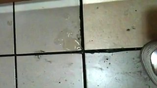 Korean Amateur Sucks Cock in Bathroom Gloryhole
