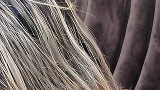 Stepmom with Big and Sexy Buttocks Has to Share a Room with Her Stepson