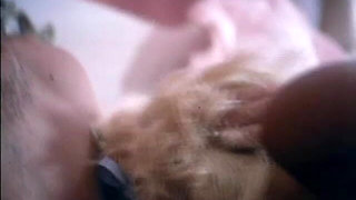 Classic Porn Dvds: Marilyn Chambers' Private Fant