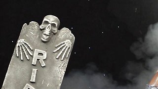 Cute Roxy's outdoor trailer