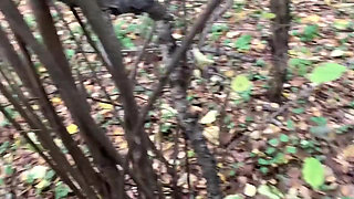 Blonde in the Forest Fucks Standing up with a Stranger on Camera