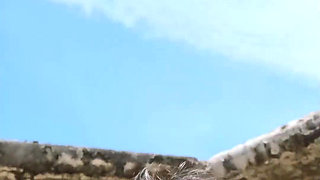 Tropical Fun in Sexy Mini Bikini on the Beach