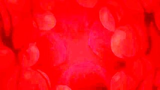 Unseen Emotion without control_100424p0001