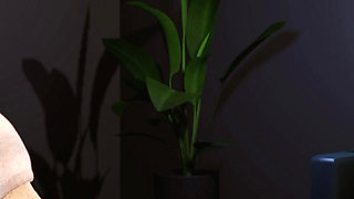 Awam 2 Sofia Real Fuck Edition - Naughty Nurse Whores in Real Pussy-pounding Scenes - Part 1