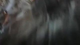 Daughter in Law Begging for Father in Law's Milk, Husband Working