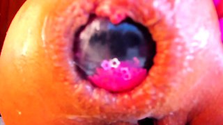 NikkaHotX vidma_recorder_26042026_102436