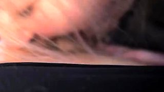 Foot Tongue Mouth And Vore Wrestling Belly Humiliation