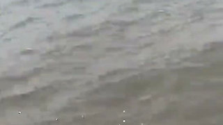 A Journey Through the Sea