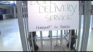 Doll Delivery Service 03 Another Dildodoll