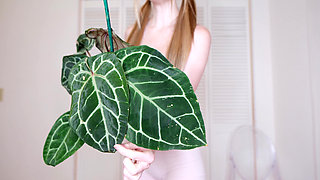 July Plants