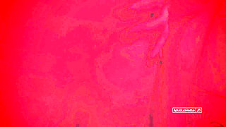 Candy Kush Distracted Her Husband and Dragged Me to the Bathroom During a Party for a Quick Fuck