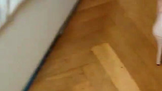 Accelerate Pervert Schoolgirl Therapy