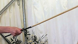 The Cane Connoisseur, Madam M Delivers Severe Traditional Caning, Corporal Punishment, Obedience and Endurance.