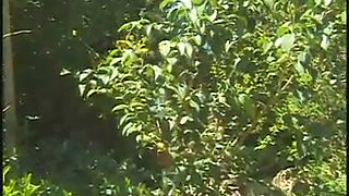 Vintage lesbian dildo playing in the garden