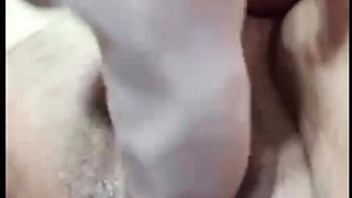 Plug Anal
