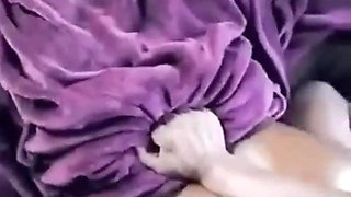 BBC Doggy Pounding Loud Screaming Orgasms