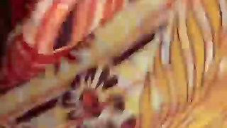 Indian pussy fucking