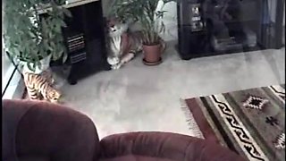 Cant Get Enough of Enrique