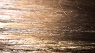 Glory Hole Blowjobs and Brunettes