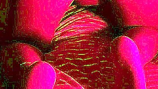 Amazing Webcam Solo Masturbation More at