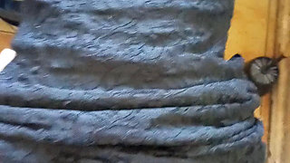 Hottest Blowjob & Doggystyle Fuck at Toilet