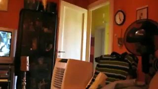 Hardcore amateurs: Blowjob, Doggy  Anal Porn